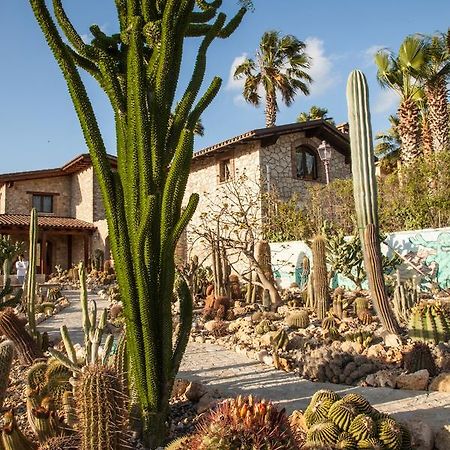 Гостевой дом Garden Cactus Вилладжо-Мосе Экстерьер фото