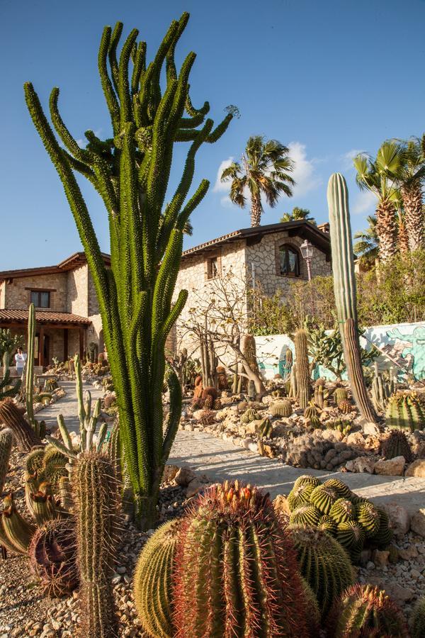 Гостевой дом Garden Cactus Вилладжо-Мосе Экстерьер фото